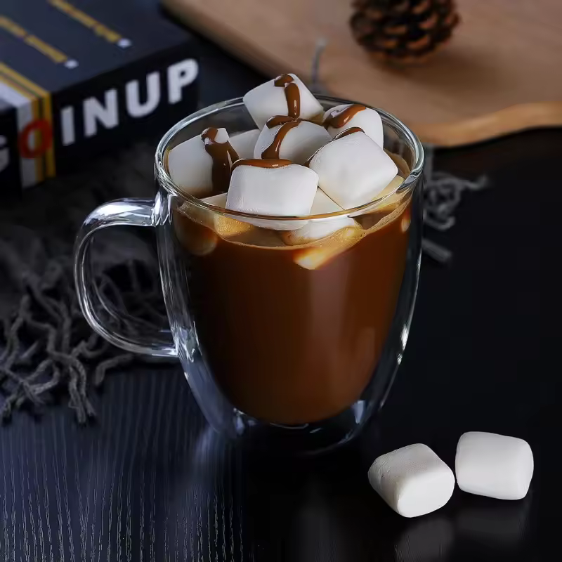 Bundle Gift Pack - Double Wall Tea & Coffee Glass Mug Set - 350 ML
