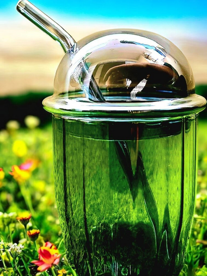 BOBA Glass Cup with Removable Glass Lid and Straw - Silver